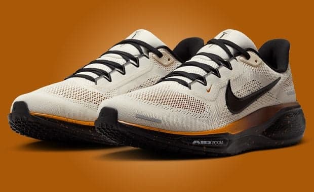 Nike Pegasus 41 Coffee Bean